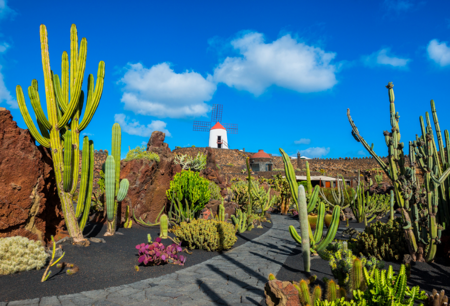 Oplev Lanzarote - De Kanariske Øer