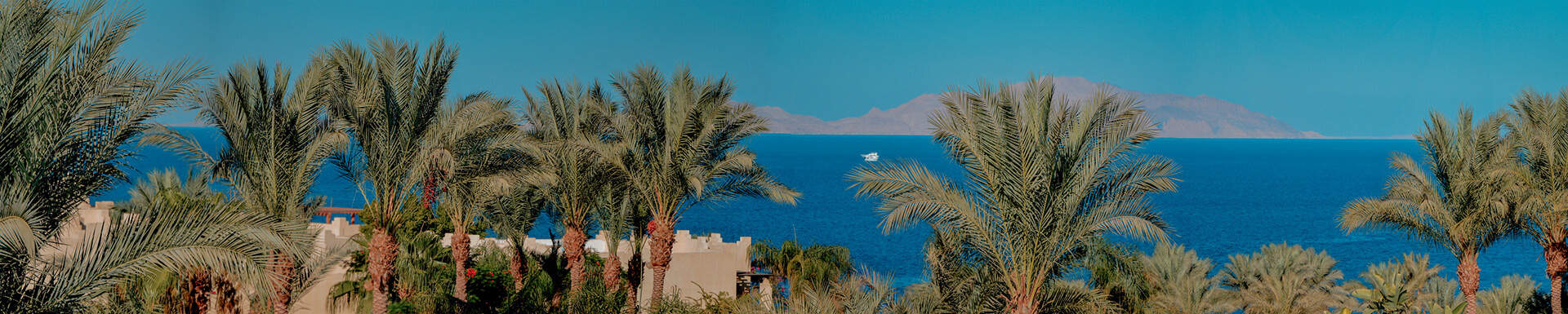 Egypten afbudsrejser