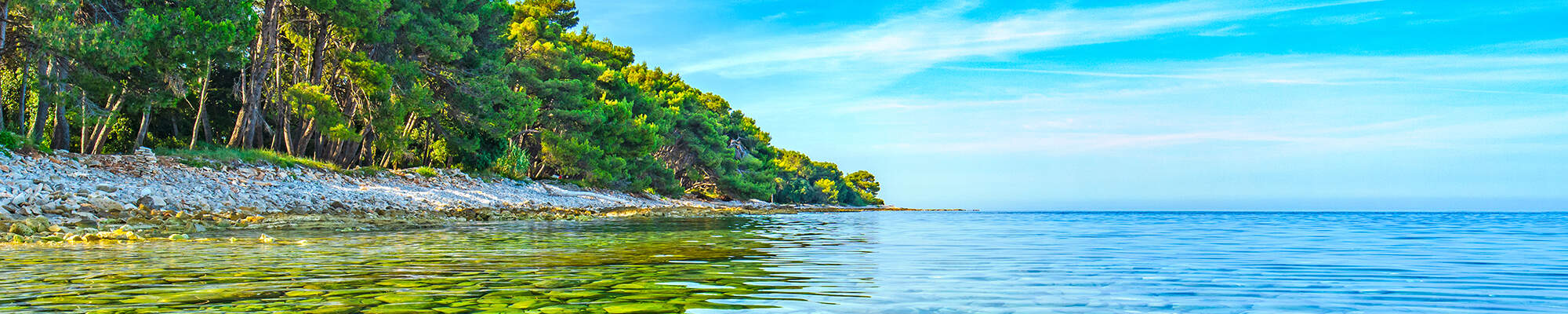 Grønne træer lige ned til vandkanten